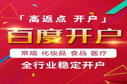 成功托管SEM竞价，实现品牌快速曝光